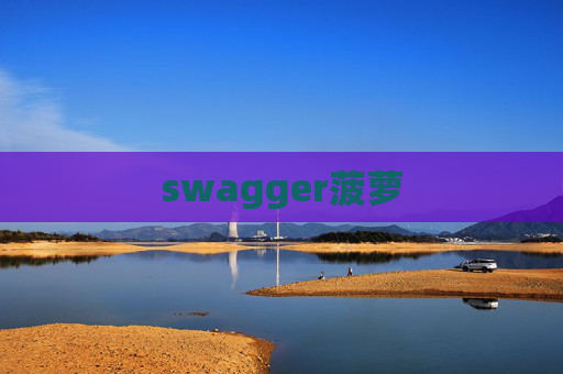 swagger菠萝 swagger菠萝